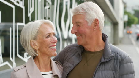 Portrait-of-a-senior-couple-smiling-outside
