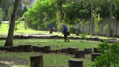 Workers-cutting-grass-at-Kim-Seng-Park,-Roberson-Quay-,-Singapore