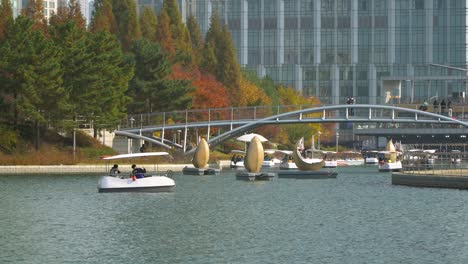 Korean-People-boating-in-Incheon-Songdo-Central-Park-in-Autumn-using-Family-boats-and-Moon-catamaran-vessels-in-Autumn,-South-Korea