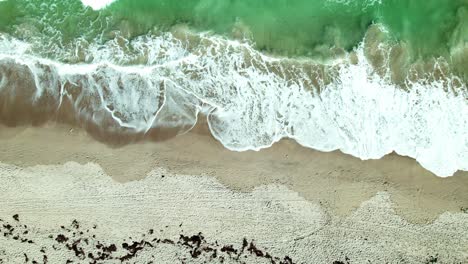 Scenic-view-of-the-coastline-of-the-Atlantic-ocean-Hutchinson-Island-Beach-straight-down-areal-drone-shot-of-waves-on-a-beach-in-south-Florida-Emerald-green-water-in-the-Atlantic-ocean-background-clip