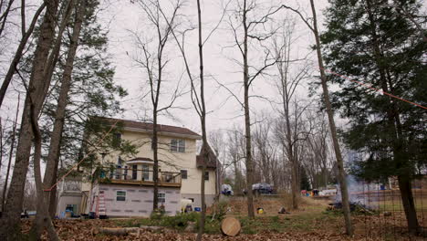 Tree-Falling-To-Ground-In-Rural-Pennsylvania,-U.S.A