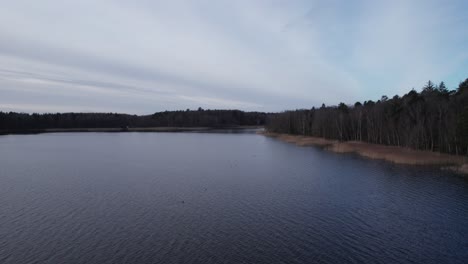 Drone-View-of-Large-Scandinavian-Lake,-Reed,-and-Forest---Dolly-In-Shot