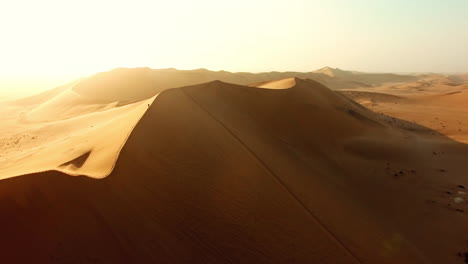 Making-tracks-through-the-desert