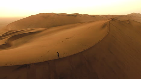 Allein-In-Der-Wüstendämmerung
