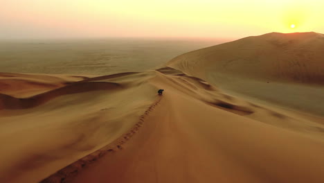 Enjoying-the-tranquility-of-a-desert-dawn