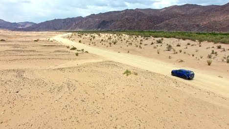 Making-tracks-through-the-Namibian-Desert