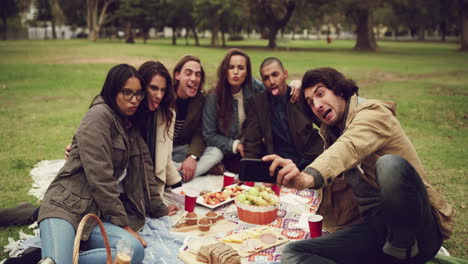 Picknicks-Sind-Eine-Tolle-Möglichkeit,-Zeit-Mit-Freunden-Zu-Verbringen