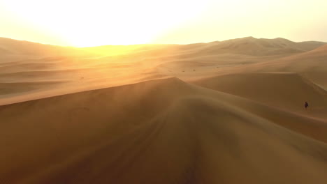 Wandering-the-desert
