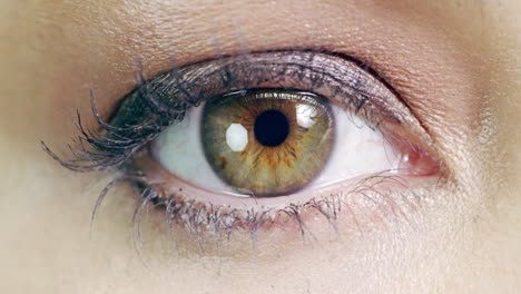 Sie-Hat-Hypnotisierende-Haselnussbraune-Augen