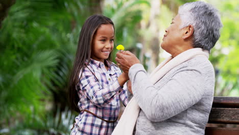 Look-at-the-pretty-flower-I-brought-you,-Granny!