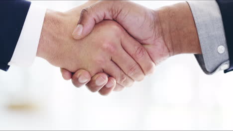 Sealing-the-deal-with-a-handshake