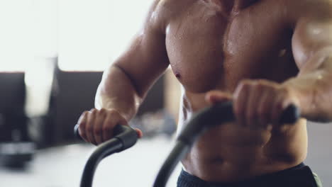 Cardio-Ist-Genauso-Wichtig-Wie-Das-Training-Mit-Gewichten
