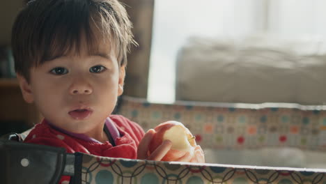 Asiatisches-Kind-Von-Zwei-Jahren-Isst-Einen-Apfel-In-Seiner-Arena