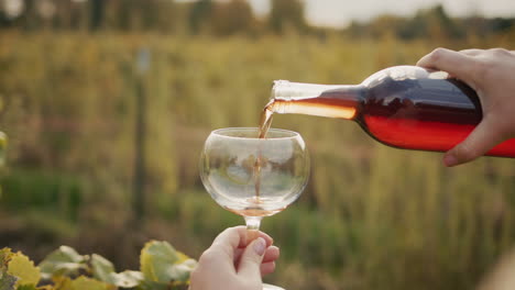 The-taster-pours-red-wine-into-a-glass-against-the-backdrop-of-vineyards.-Slow-motion-4k-video