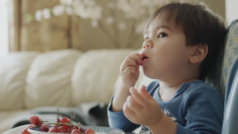 Asiatisches-Zweijähriges-Baby-Isst-Weintrauben-Und-Schaut-Aufmerksam-Fern.
