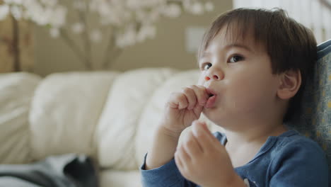 Asian-two-year-old-baby-eats-grapes-and-watches-TV-attentively.