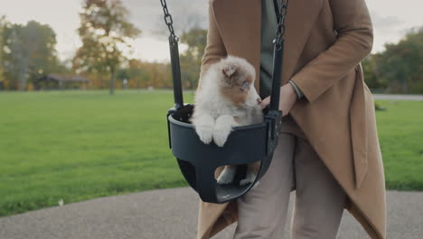 The-owner-rides-a-small-puppy-on-a-swing-in-the-park.-Having-fun-with-your-pet