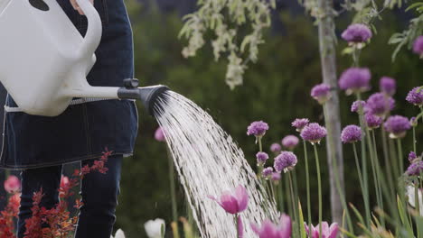 Gardener-watering-flowers-in-his-garden,-beautiful-blooming-garden