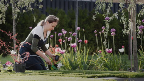 Middle-aged-woman-planting-flowers-in-her-garden.