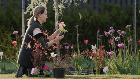Mujer-Jardinera-Plantando-Flores-En-El-Jardín