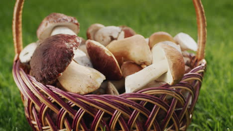 Wild-mushrooms-in-a-wicker-basket,-the-camera-moves-slowly-away-from-them