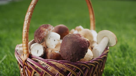Forest-mushrooms-in-a-wicker-basket.-An-appetizing-ingredient-in-many-gourmet-dishes
