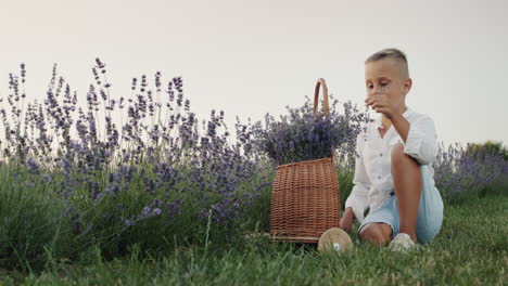 Ein-Junge-Sitzt-Neben-Einem-Holzkorb-Mit-Lavendel-In-Einem-Lavendelfeld