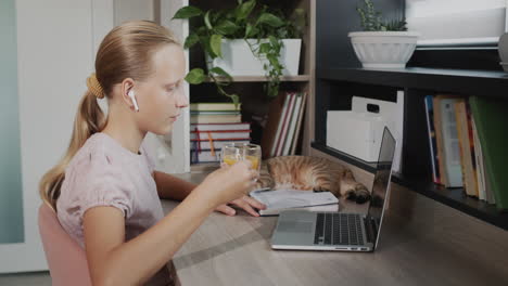 The-child-is-engaged-with-a-laptop-in-her-room,-next-to-her-is-a-red-cat