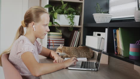 Das-Kind-Beschäftigt-Sich-Mit-Einem-Laptop-In-Seinem-Zimmer,-Neben-Ihm-Steht-Eine-Rote-Katze
