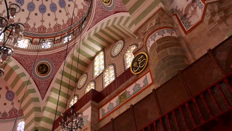 Estambul-Pavo-Mezquita-Del-Sultán-Mihrimah