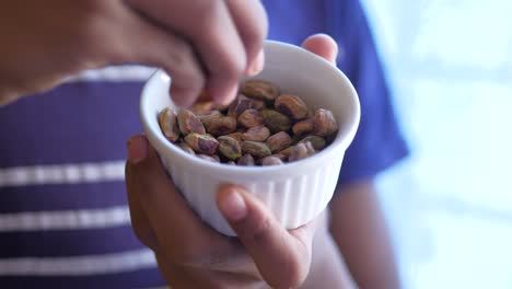 Men-hand-pick-pistachios-nuts