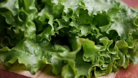 Fresh-green-salad-lettuce-on-wooden-table-,