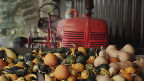 Several-pumpkins-on-the-farm,-with-a-tractor-visible-in-the-background.-Halloween-decor
