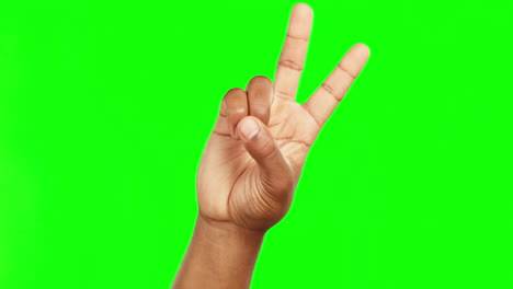 Person,-hands-and-peace-sign-on-green-screen