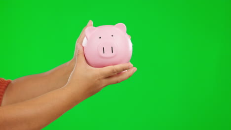Piggy-bank,-offer-and-person-hands-on-green-screen