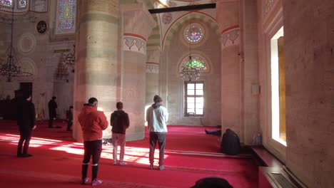 Estambul-Pavo-Mezquita-Del-Sultán-Mihrimah