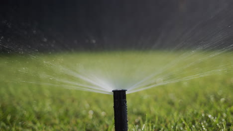 A-stream-of-water-under-pressure-irrigates-the-green-lawn.-Slider-4k-shot
