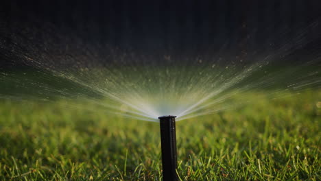 The-automatic-irrigation-nozzle-rises-from-the-ground.-A-stream-of-water-under-pressure-irrigates-the-green-lawn