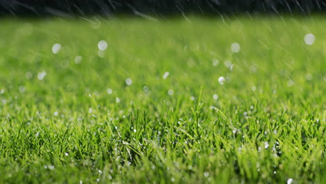 Raindrops-fall-on-a-neat-green-lawn.-4k-video