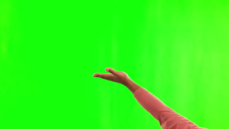 Person,-hands-and-palm-on-green-screen