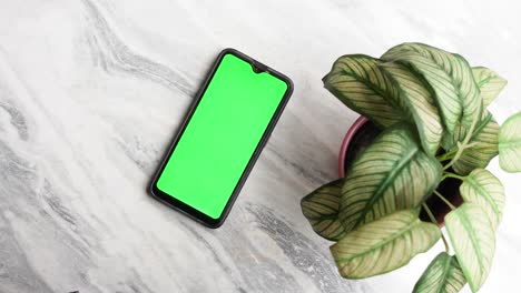 Smart-phone-with-green-screen-and-a-plant-on-tiles-background-,