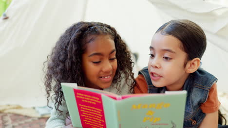 Aprendizaje,-Lectura-De-Libros-Y-Niños-En-Tienda