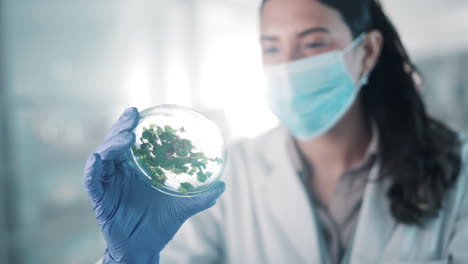 Face-mask,-scientist-or-woman-with-plant-research
