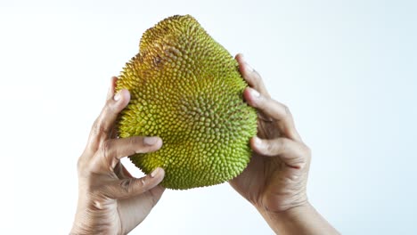 Top-view-of-men-holding-a-jackfruit-on-table-,