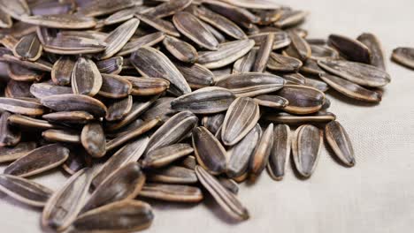 Sunflower-seeds-spilling-on-a-white-background