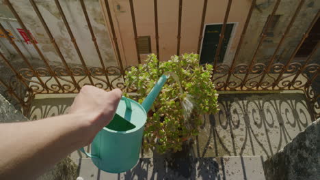 woman-hands-watering-plants-on-balcony-pouring-water-gardening-close-up
