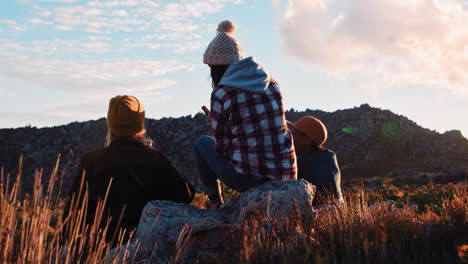 group-of-friends-drinking-together-making-toast-hanging-out-in-beautiful-countryside-enjoying-sunset-rear-view