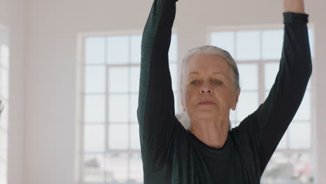 Porträt-Einer-Schönen-Alten-Frau-Im-Yoga-Kurs,-Die-Kriegerpose-Praktiziert-Und-Das-Körperliche-Fitnesstraining-In-Der-Gruppe-Im-Studio-Genießt