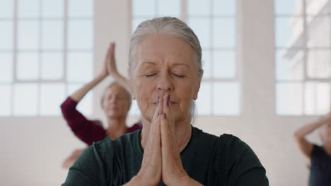 Portrait-Yoga-Klasse,-Schöne-Alte-Frau,-Die-Gesunde-Meditation-Praktiziert,-Gebetshaltung-übt-Und-Das-Körperliche-Fitnesstraining-In-Der-Gruppe-Im-Studio-Genießt