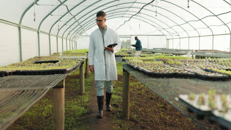 Plants,-tablet-and-greenhouse-scientist